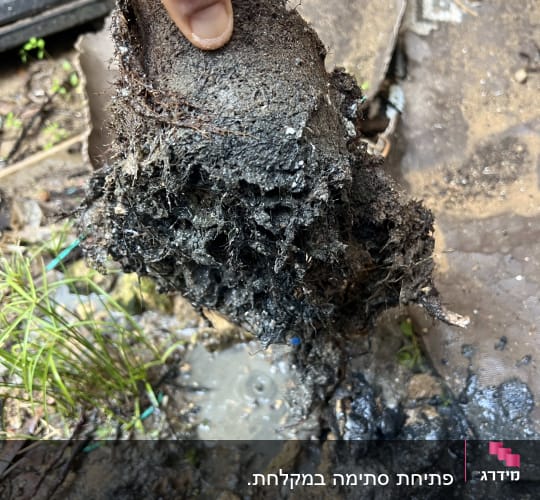 יד מחזיקה גוש שורשים סתום בצינור ביוב